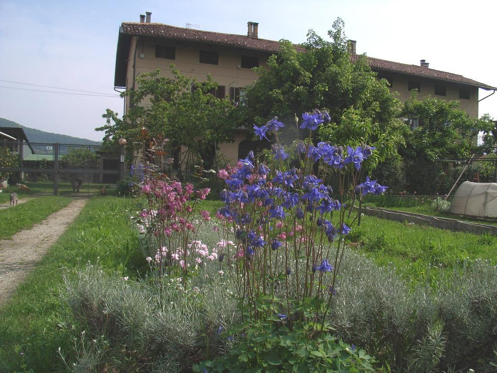 U Tej Bed & Breakfast Cumiana Exterior foto