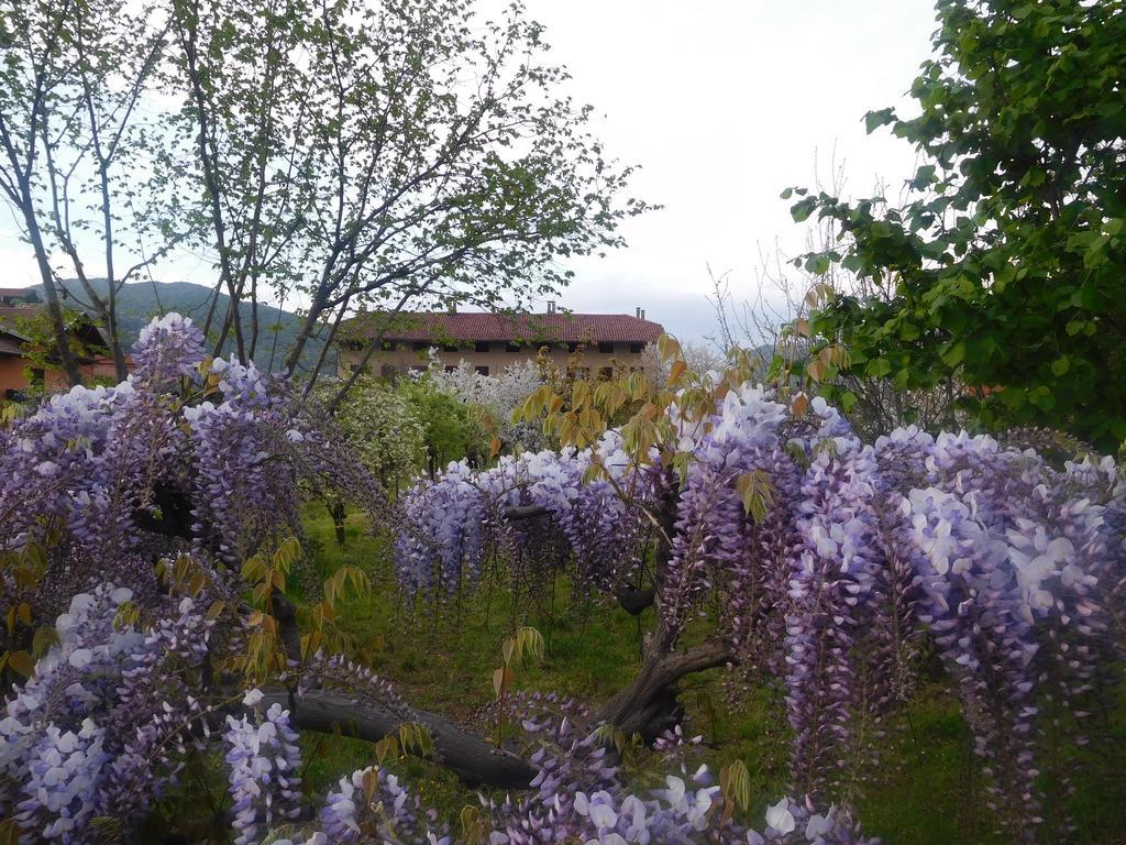 U Tej Bed & Breakfast Cumiana Exterior foto