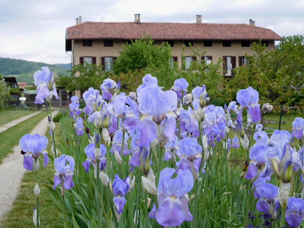 U Tej Bed & Breakfast Cumiana Exterior foto